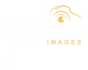 NL Logo 2